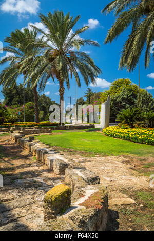 Attractive flower beds at the entrance to Caesarea National Park, Israel, Middle East. Stock Photo