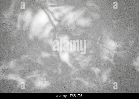 White concrete wall with plaster layer and floral shadows pattern, background photo texture Stock Photo