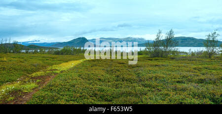 Tornetrask lake summer cloudy view ( Lapland, Norrbotten County in Sweden) Stock Photo