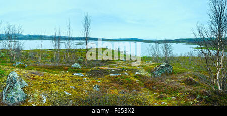 Tornetrask lake summer cloudy view ( Lapland, Norrbotten County in Sweden)/ Stock Photo