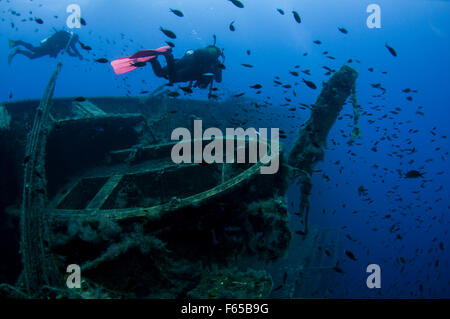 Diver at the MS Zenobia shipwreck. MS Zenobia was a Swedish built Challenger-class RO-RO ferry launched in 1979 that capsized an Stock Photo