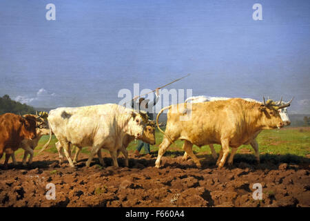 Labourage nivernais - Ploughing Nivernais 1849  Rosa Bonheur 1822 - 1899 France French Stock Photo