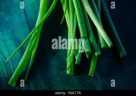 Whole table onion with roots and tips on greenish blue wood grain, room for copy. Stock Photo