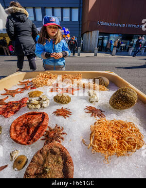 Shellfish on display at the annual Seaman's day festival, Reykjavik, Iceland Stock Photo