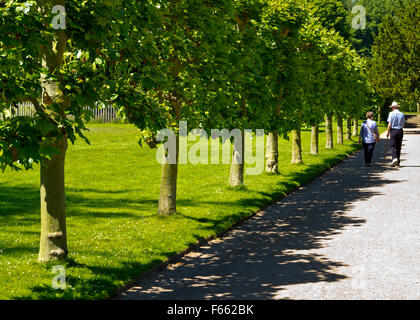 Avenue of trees in garden at Rufford Abbey near Ollerton in Nottinghamshire England UK in the grounds of Rufford Country Park Stock Photo