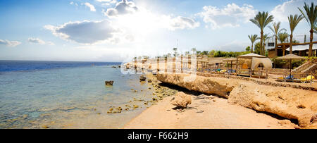 Coral reefs on beach of the Red sea Stock Photo