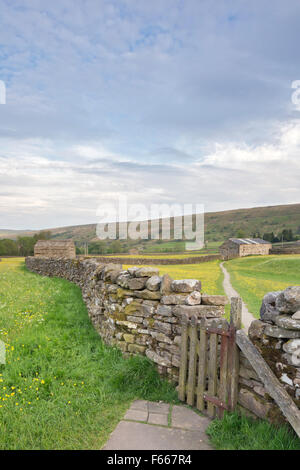 Wildflower meadows near the Dales village of Muker, Swaledale, Yorkshire Dales National Park, North Yorkshire, England, UK Stock Photo