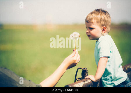 Parent holding a dandelion to be blown by child Stock Photo