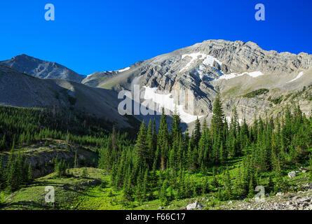 rocky mountain peak near headquarters creek pass in lewis and clark national forest near choteau, montana Stock Photo