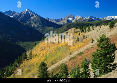 fall colors below the spanish peaks of the madison range in the lee metcalf wilderness near gallatin gateway, montana Stock Photo