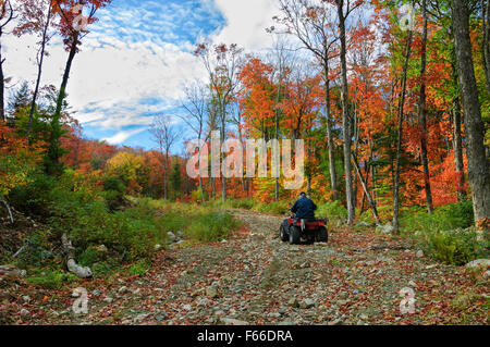 Senior man riding on a four wheel ATV in a dirt road, surrounding by an colourful autumnal fairy decor in Quebec country, Canada Stock Photo