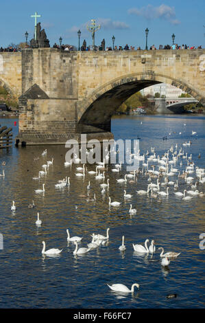 A classic view of Prague Stock Photo