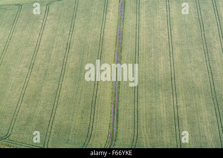 Arable farmland with tramlines running through, taken from above. Cumbria, UK. Stock Photo