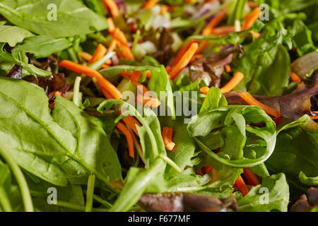 Mixed green salad Stock Photo