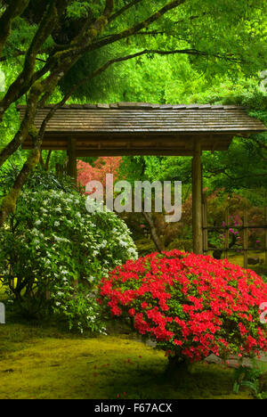 Teahouse Outer Gate, Portland Japanese Garden, Washington Park, Portland, Oregon Stock Photo