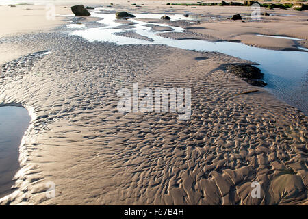 Rippled sand and sea water on a beach at low tide. Northumberland, England Stock Photo