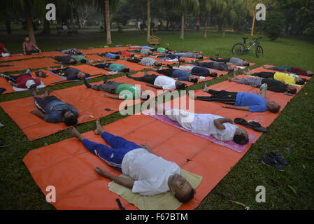 Dhaka, Bangladesh. 13th Nov, 2015. Bangladeshi Peoples are exercising yoga at morning in the Ramna Park in Dhaka, Bangladesh. On November 13, 2015 World Diabetes Day, on the 14th November every year, has grown from humble beginnings to become a globally-celebrated event to increase awareness about diabetes. The theme is healthy living and having a healthy breakfast. Credit:  Mamunur Rashid/Alamy Live News Stock Photo