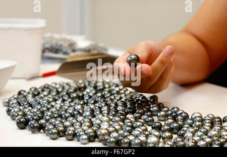 Papeete (Tahiti, French Polynesia), May 2013: sorting of cultured pearls Stock Photo