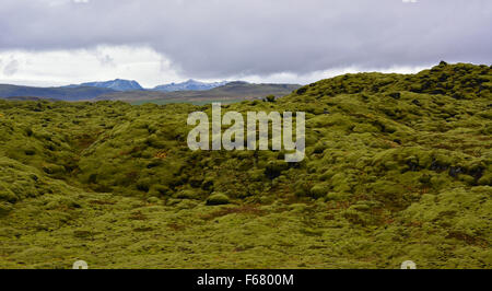 Distinctive moss covered lava, south Iceland Stock Photo