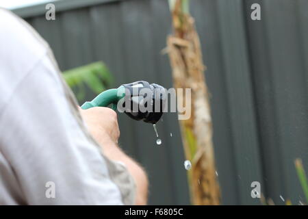 Gardener with watering hose Stock Photo