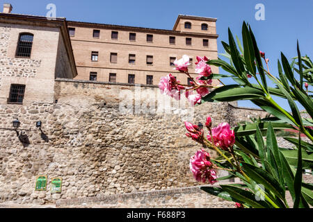 Toledo Spain,Europe,Spanish,Hispanic World Heritage Site,historic Center,city wall,flowers,flowering bush,Calle Cristo de la Luz,Spain150703036 Stock Photo