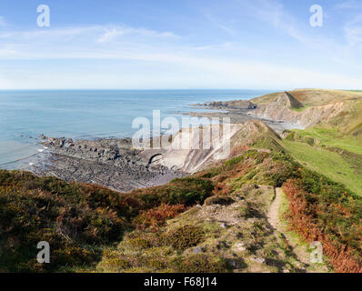 Clifftops near Hartland Quay in North Devon, UK. Stock Photo