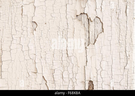 Abstract background, old cracked plaster wall Stock Photo