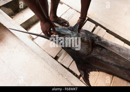 Islander reel hi-res stock photography and images - Alamy