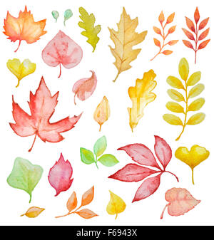 Set of hand drawn watercolor autumn leaves Stock Photo