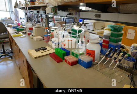 Biotechnology research lab, MIT Stock Photo