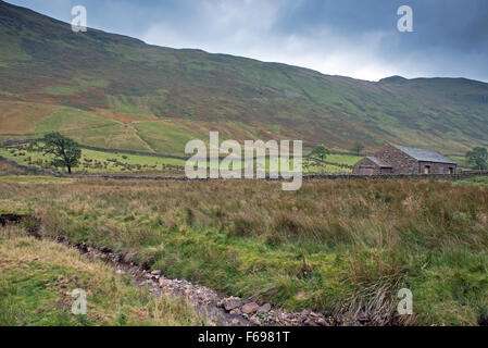 A derelict building in the Boredale Valley, Martindale, Lake District, Cumbria, England, Uk, Gb. Stock Photo