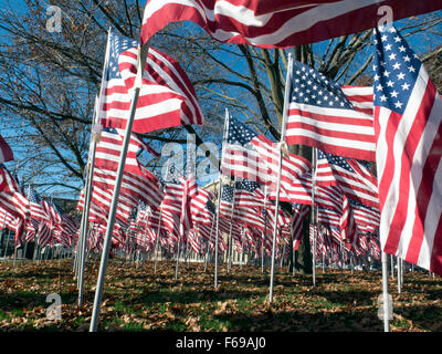 Rows of flags honoring US Veterans stand on display at Park Square in Pittsfield, MA. Stock Photo