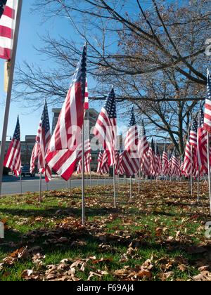 Rows of flags honoring US Veterans stand on display at Park Square in Pittsfield, MA. Stock Photo