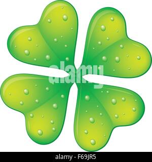 Green four leafs clover on a white background. Stock Vector