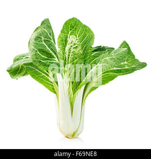Chinese lettuce in isolated on a white background Stock Photo