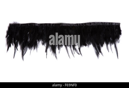Black decorative feathers, isolated on white background Stock Photo