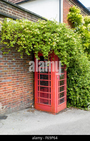 A simple country GPO red public telephone box covered by a spreading shrub in West Harting in Hampshire Stock Photo