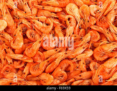 Shrimps close-up as background Stock Photo