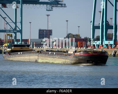 Matura ENI 04806140 & Futura ENI 04806130, Port of Antwerp Stock Photo
