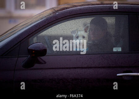 A dog sat in the passenger seat of a car on a rainy day following heavy wind and rain at Porthcawl, South Wales, UK. Stock Photo