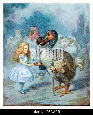 'The Dodo solemnly presented the thimble, saying 'We beg your acceptance of this elegant thimble'' from 'Alice's Adventures in Wonderland'  by Lewis Carroll (1832-1898), illustrated by Sir John Tenniel. See description for more information. Stock Photo