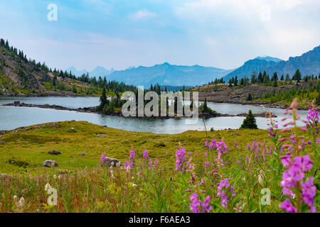 Alpine lake and mountains in sunshine meadows, Alberta Stock Photo