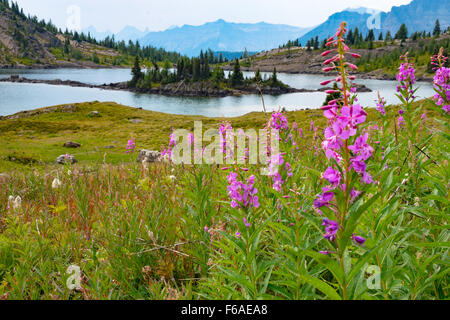Alpine lake and mountains in sunshine meadows, Alberta Stock Photo