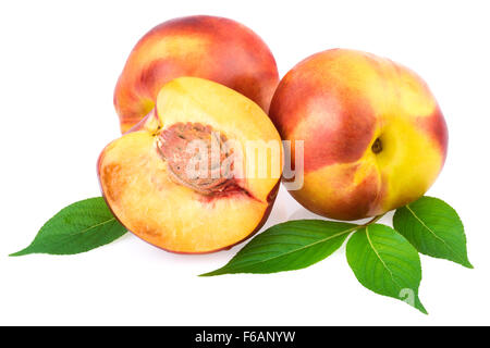 Peaches or Nectarines Fruit  on White