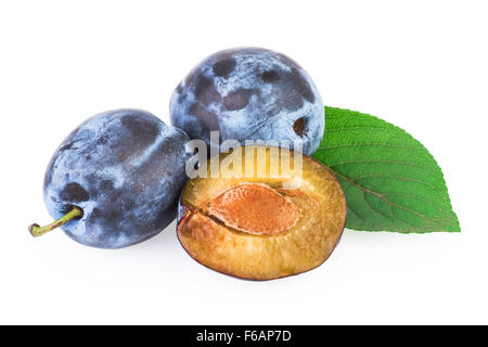 Plums with Leaf Isolated on White Stock Photo