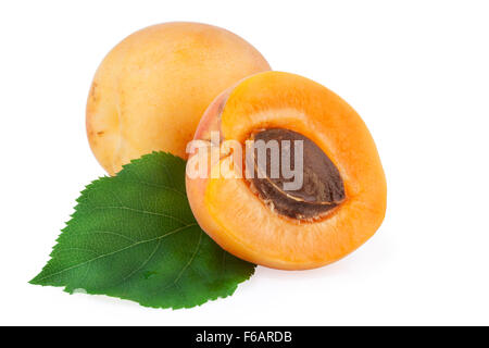 Apricots Isolated Clipping Path Stock Photo