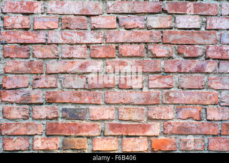Nice brick wall as a creative background Stock Photo