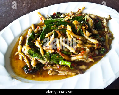Razor clams spicy Stir-Fry ,Thai food Stock Photo