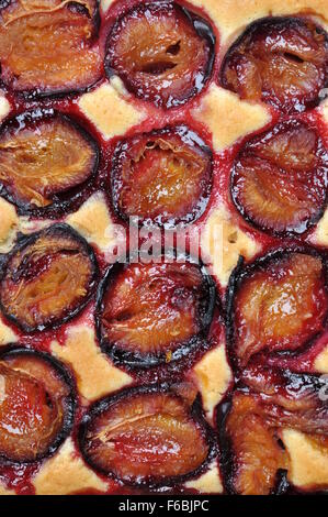 Freshly baked plum cake, top view Stock Photo