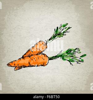Fresh carrots. Vector illustration Stock Vector